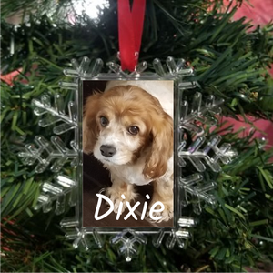 Personalized Custom Phono Snowflake Christmas Ornament Double Sided